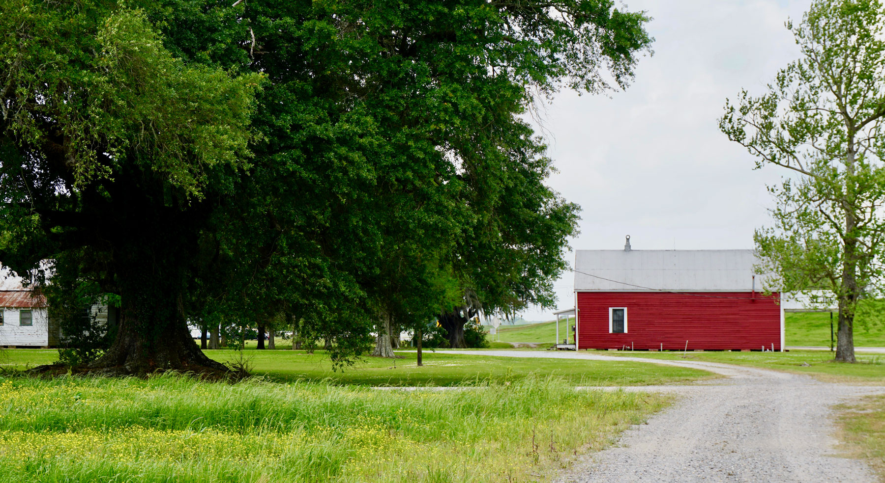 Felicity Plantation – St. Joseph and Felicity Plantations