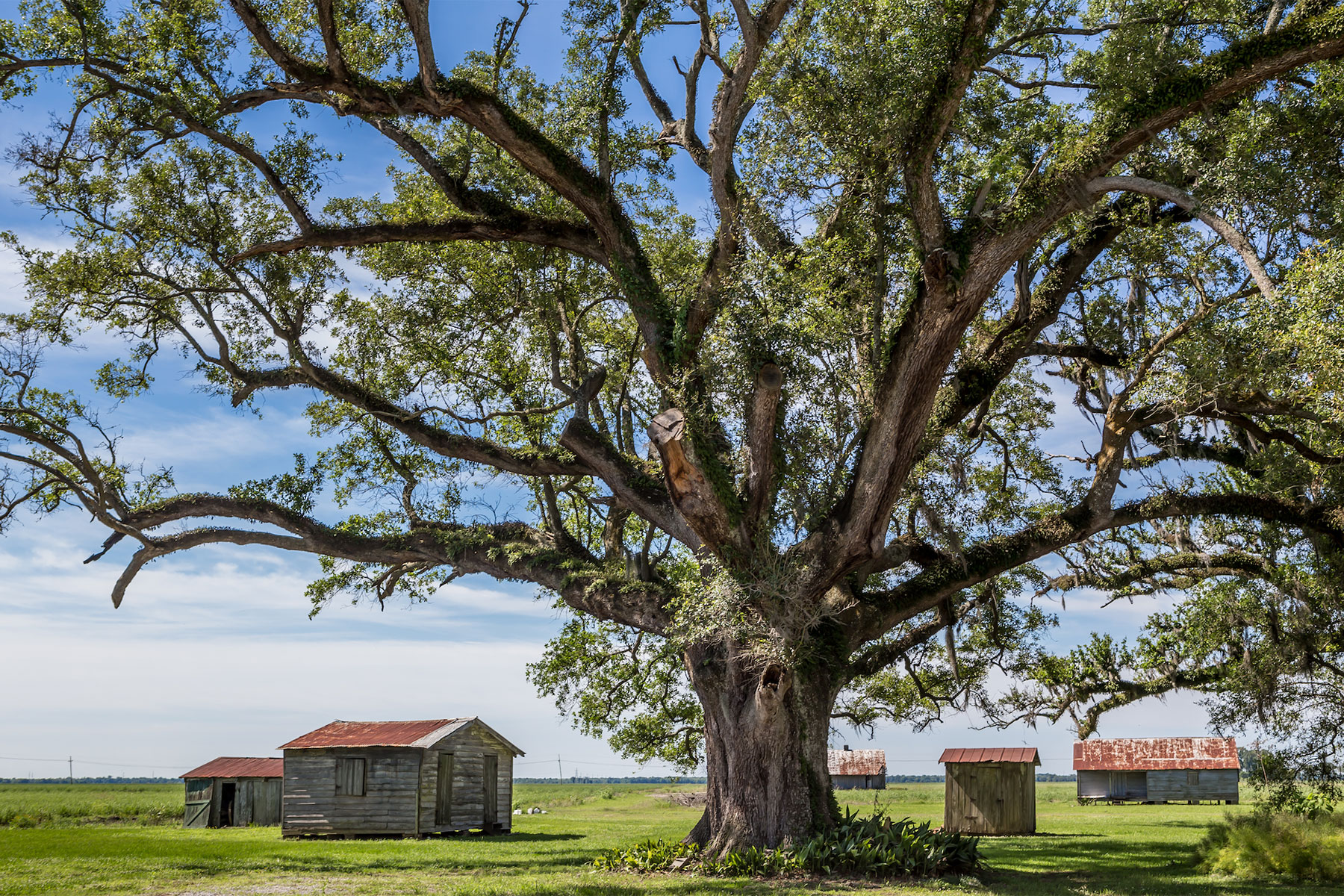 Felicity Plantation – St. Joseph and Felicity Plantations